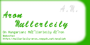 aron mullerleily business card